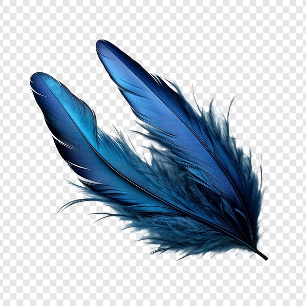 Feathers adorn a fashionable isolated on transparent background