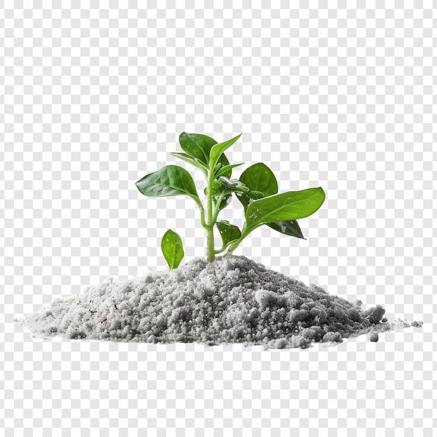 Free PSD fertilizer isolated on transparent background