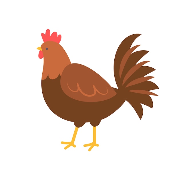 Flat design chicken isolated