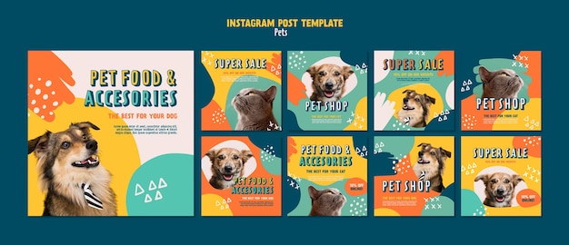 Flat design pet care template