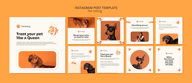 Flat design pet sitting template