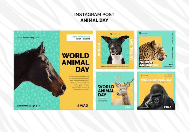 Free PSD flat design world animal day instagram template