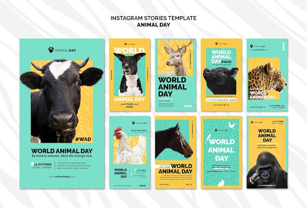 Free PSD flat design world animal day instagram template