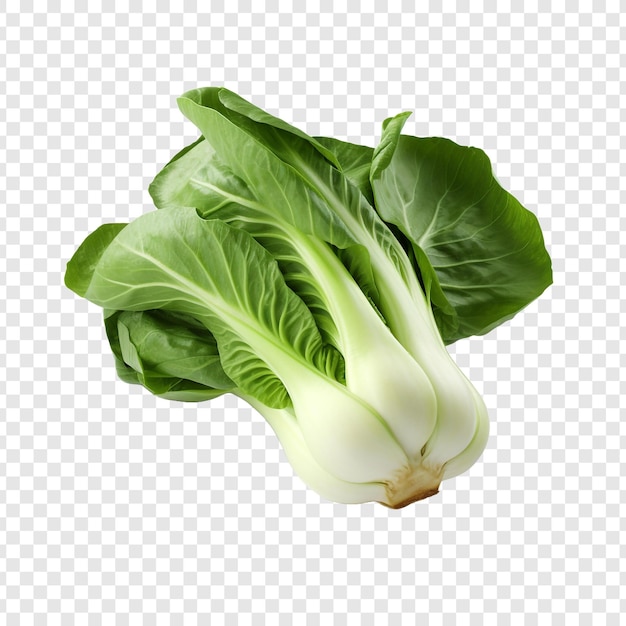 Free PSD fresh bok choy isolated on transparent background