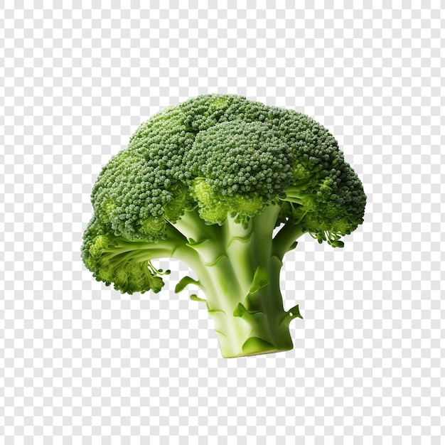 Fresh broccoli isolated on transparent background