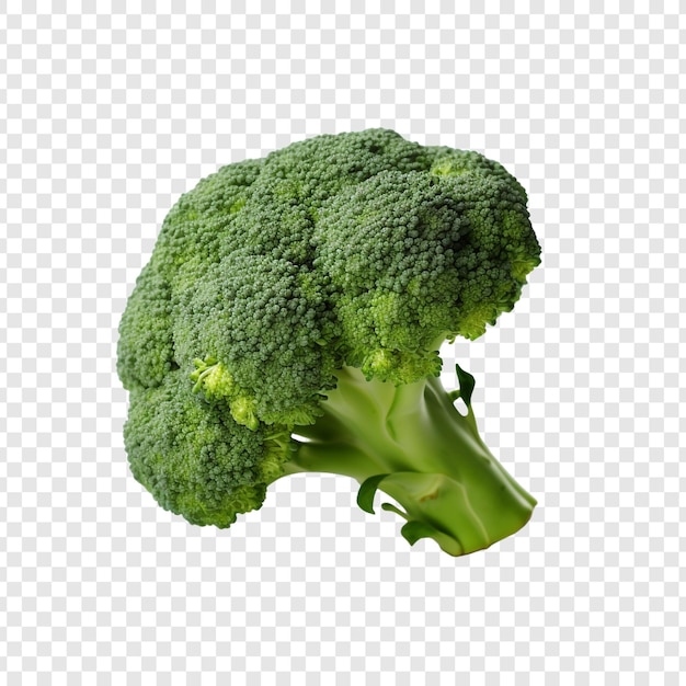 Fresh broccoli isolated on transparent background