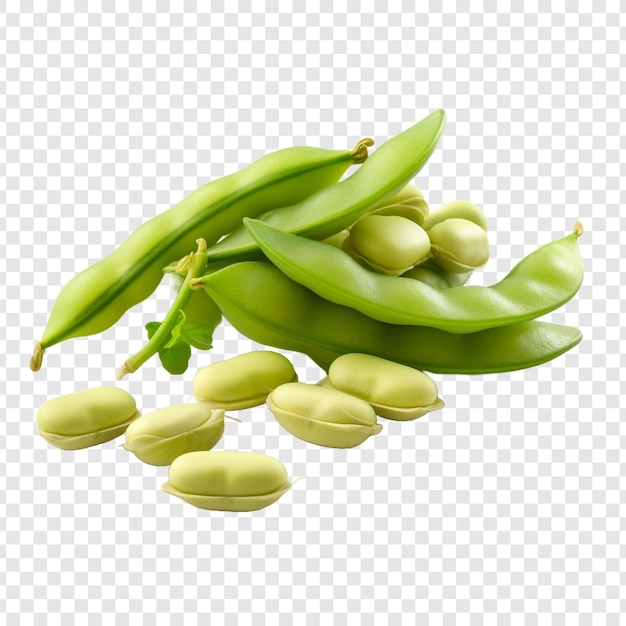 Free PSD fresh christmas lima beans isolated on transparent background