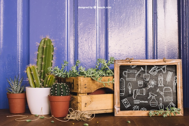 Gardening mockup with three cactus and slate