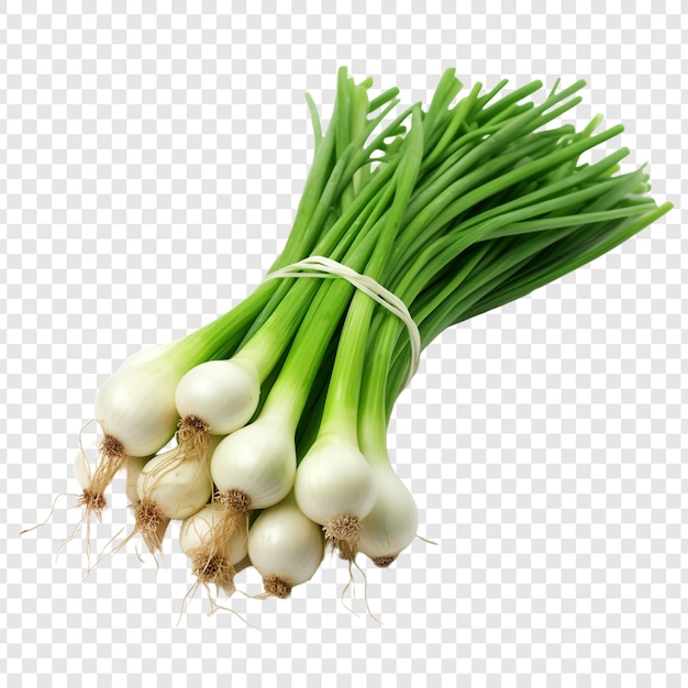 Free PSD green onions isolated on transparent background