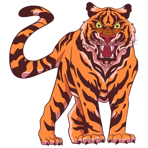 Hand drawn tiger illustration