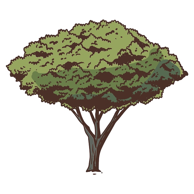 Free PSD hand drawn tree  illustration isolated