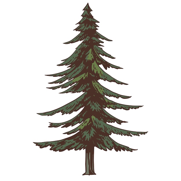 Free PSD hand drawn tree  illustration isolated