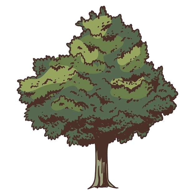 Free PSD hand drawn tree  illustration isolated