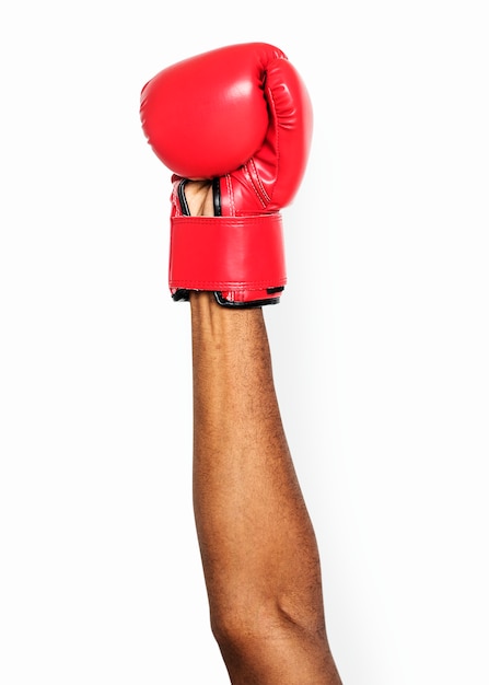 Free PSD hand holding boxing glove