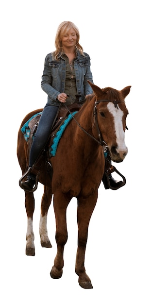 Free PSD horse ready for equestrianism isolated