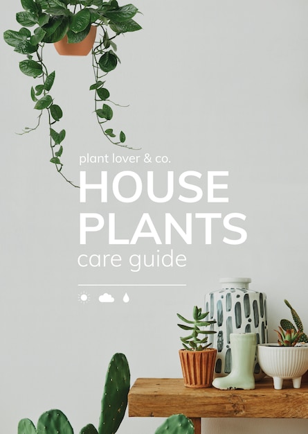 Free PSD houseplant care guide psd template for social media