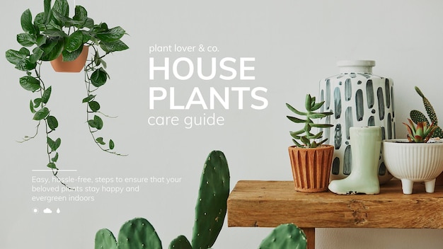 Free PSD houseplant care guide psd template for social media