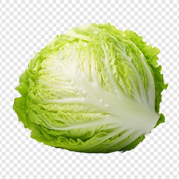 Iceberg lettuce isolated on transparent background