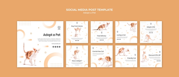 Instagram posts collection for adopting a pet