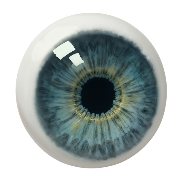 Free PSD iris of eye isolated