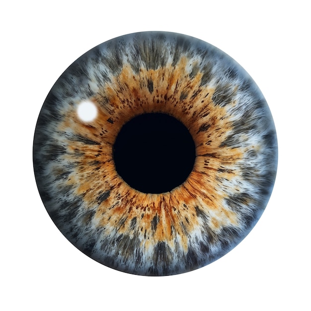 Free PSD iris of eye isolated