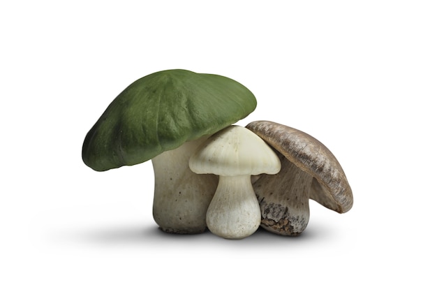 Free PSD isolated mushroom