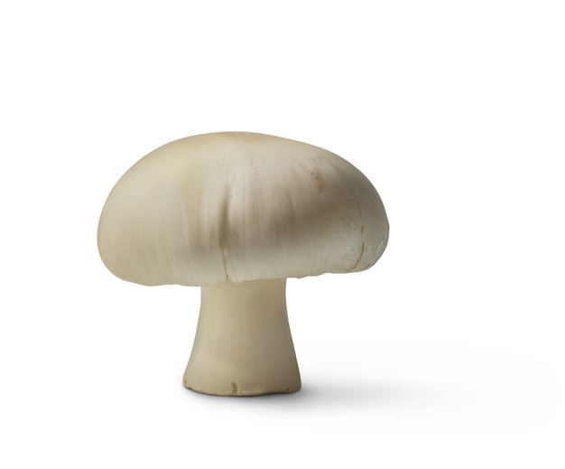 Free PSD isolated mushroom