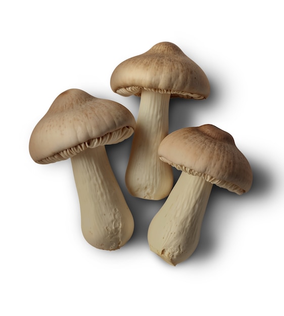 Free PSD isolated mushroom