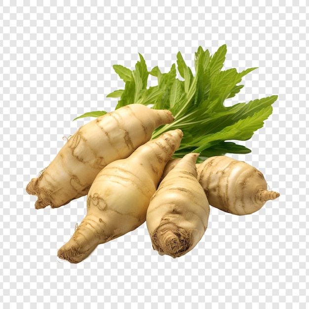 Free PSD jerusalem artichoke isolated on transparent background