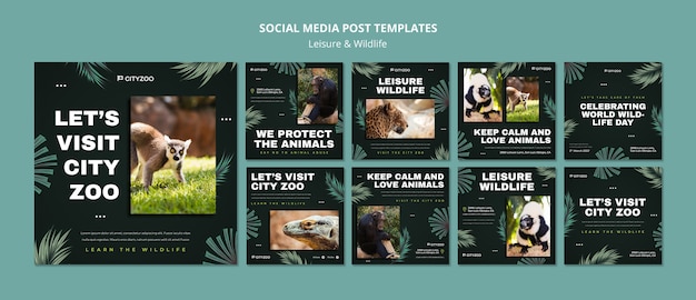 Leisure and wildlife instagram post design template