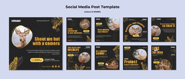 Leisure and wildlife instagram post template