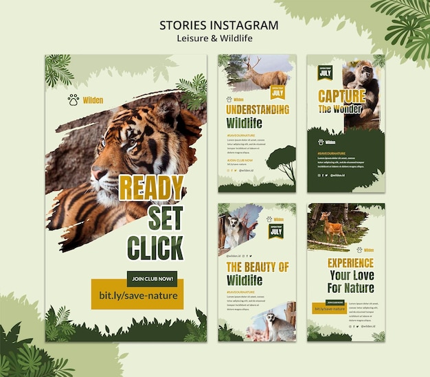 Free PSD leisure and wildlife instagram stories