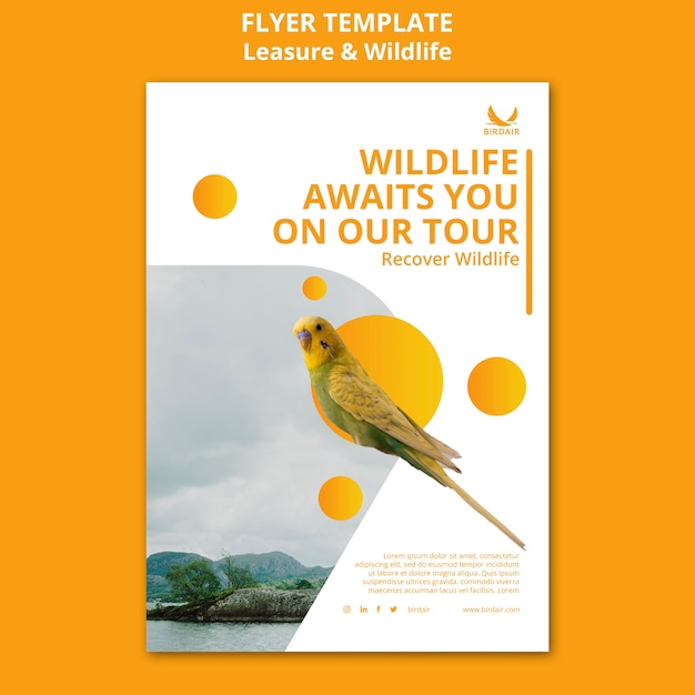 Free PSD leisure and wildlife template design