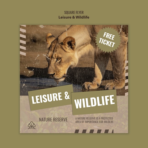 Free PSD leisure and wildlife template design