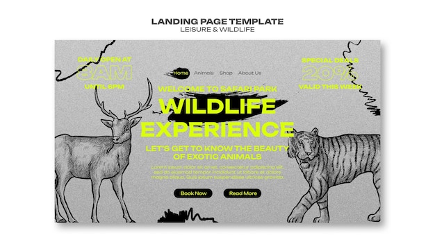 Free PSD leisure and wildlife template design