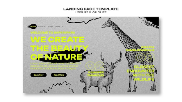 Free PSD leisure and wildlife template design