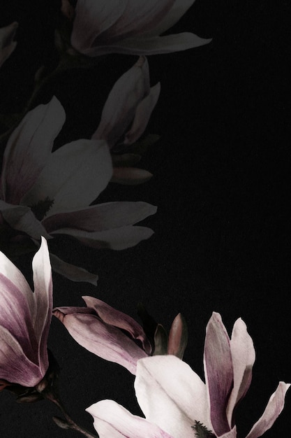 Free PSD magnolia border psd dramatic flower background