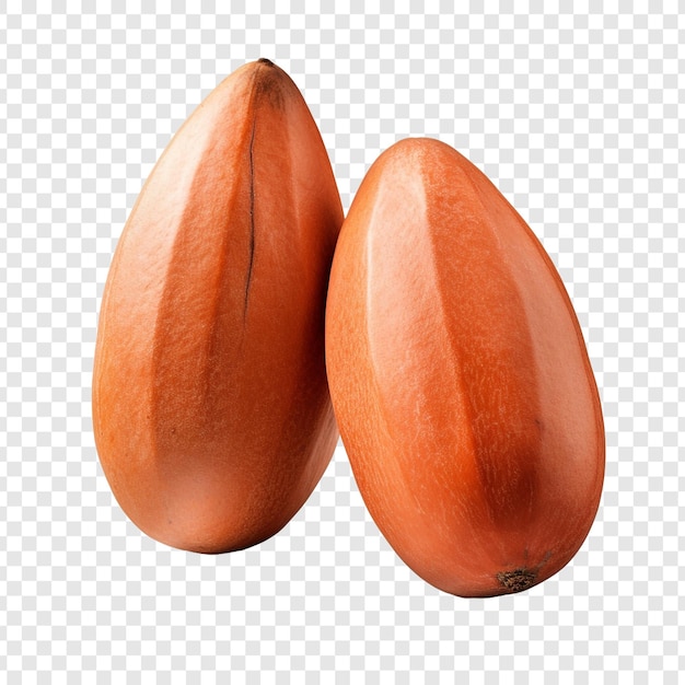 Free PSD mamey isolated fruits on transparent background