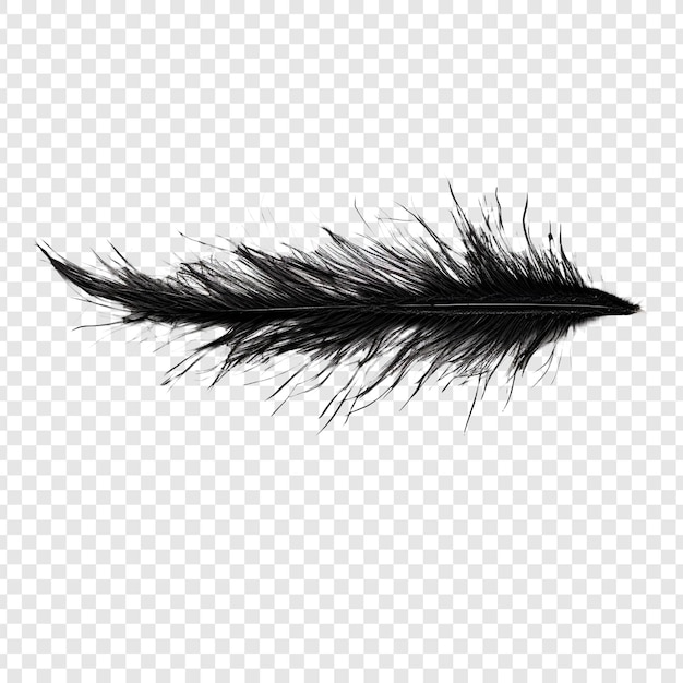 Free PSD mascara brush mark isolated on transparent background