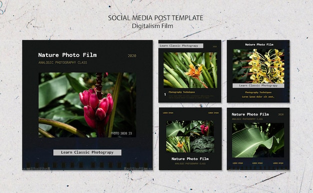 Nature photo film social media post template