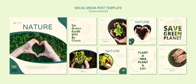 Free PSD nature and seedling social media post template