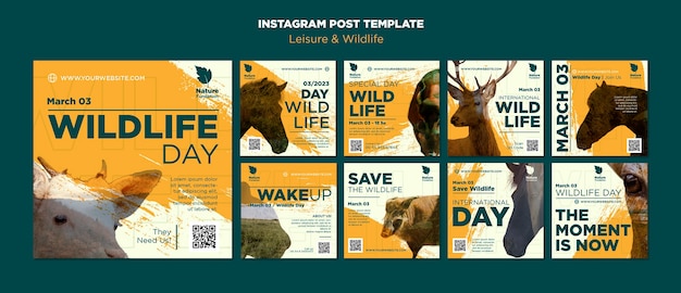 Free PSD nature and wildlife conservation instagram posts collection