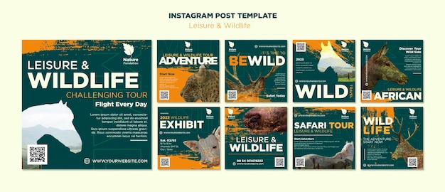 Free PSD nature and wildlife conservation instagram posts collection