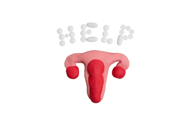 Free PSD ovaries and uterus shape isolated