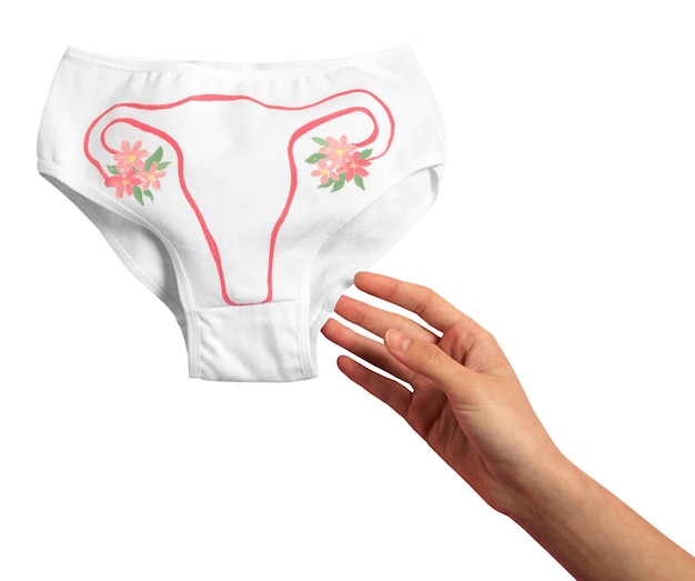 Free PSD ovaries and uterus shape isolated