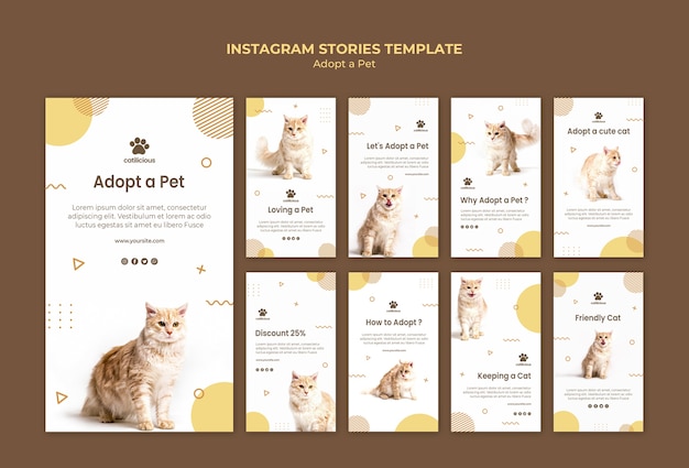 Free PSD pet adoption instagram stories template