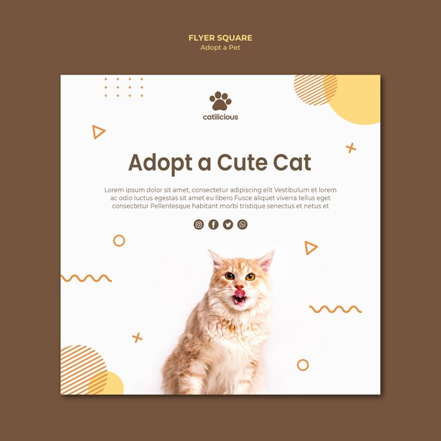 Free PSD pet adoption square flyer style