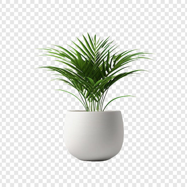 Plant pot flower isolated on transparent background