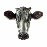 Free PSD portrait of cow head isolated