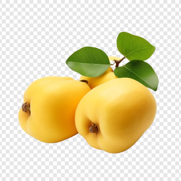 Quince fruit isolated on transparent background